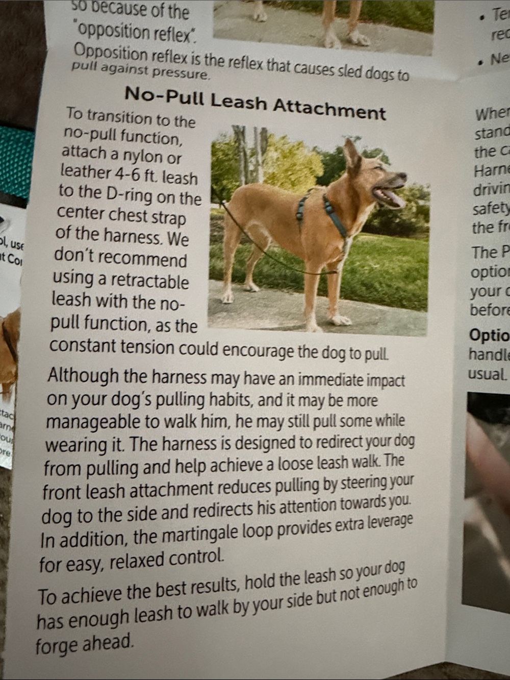 PetSafe Teal 3-in-1 Dog Harness - Medium - Picture 6 of 8